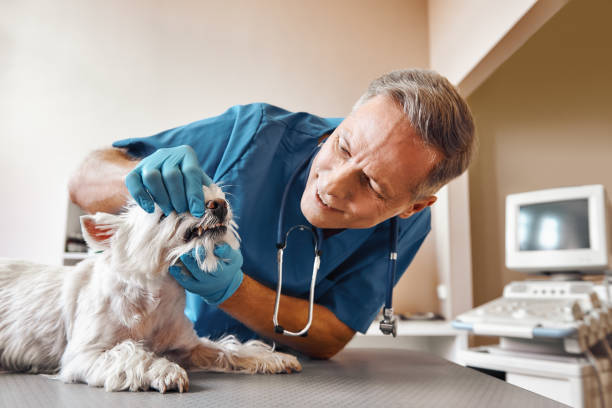 Best Emergency Dentist for Special Needs Patients in Sharon, TN